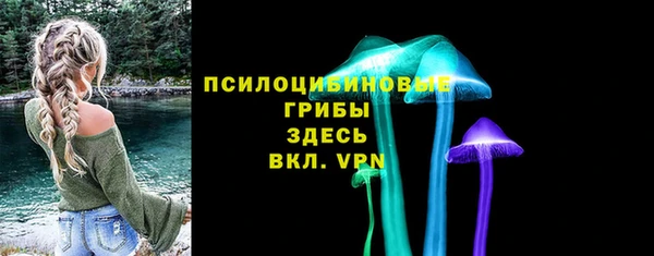 хмурый Лиски