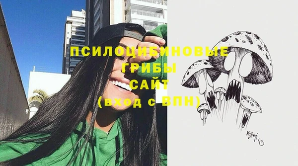 хмурый Лиски