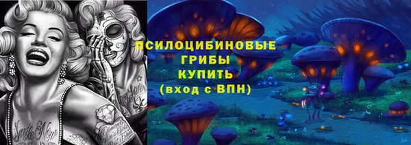 хмурый Лиски
