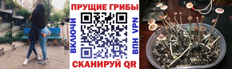 наркотики Красково Псилоцибиновые грибы Magic Shrooms